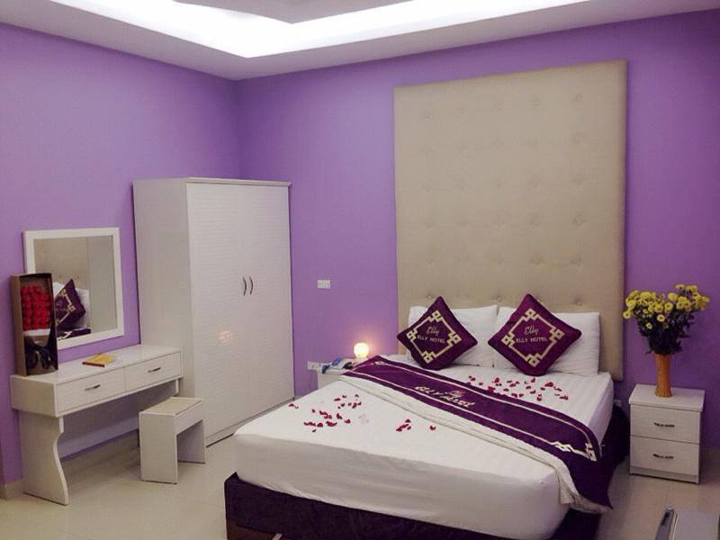 Elly Hotel Hanoi Dış mekan fotoğraf